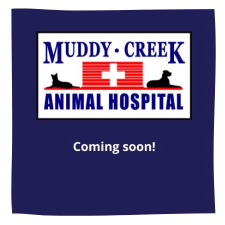 Veterinarian In West River, MD | Muddy Creek Animal Hospital